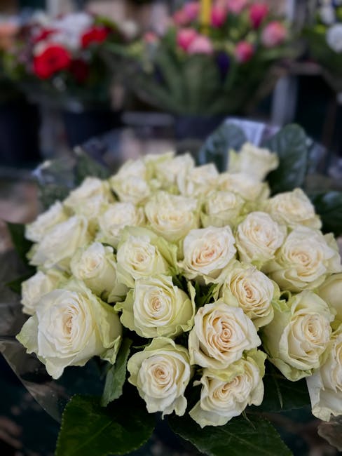 A tightly arranged bouquet of creamy white roses with soft, velvety petals and fresh green leaves, wrapped in clear cellophane. The roses are in full bloom, displaying their delicate, layered petals, 