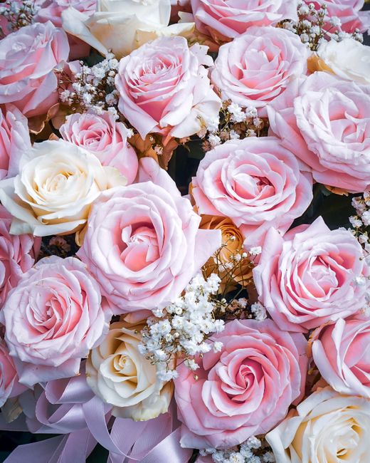 A close-up arrangement of fresh roses in soft pink, cream, and peach hues, featuring large, fully bloomed petals with delicate textures. Interspersed among the roses are small clusters of white baby's