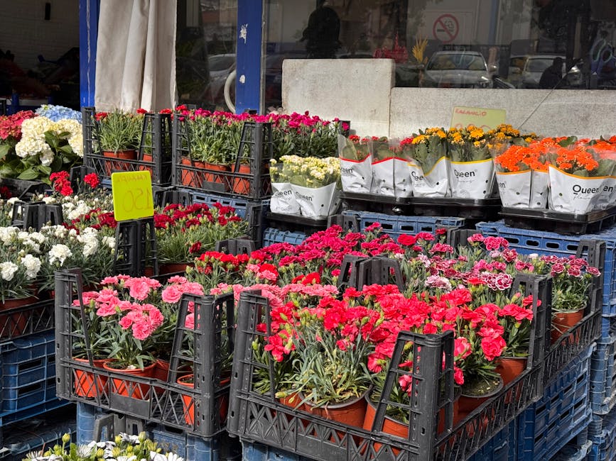 An outdoor display of various potted flowers arranged in black plastic crates. The assortment includes vibrant pink, red, white, orange, and yellow blooms, primarily carnations and other garden flower